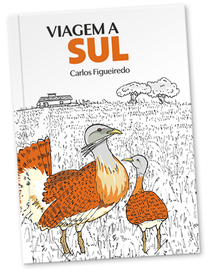 Beebook.pt, edição de Livros