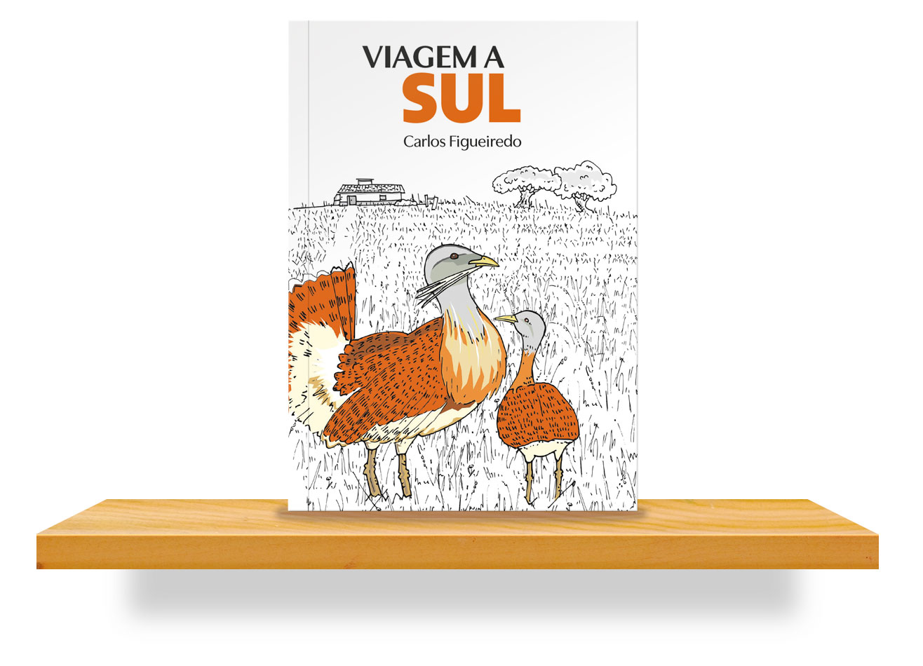 Viagem a Sul