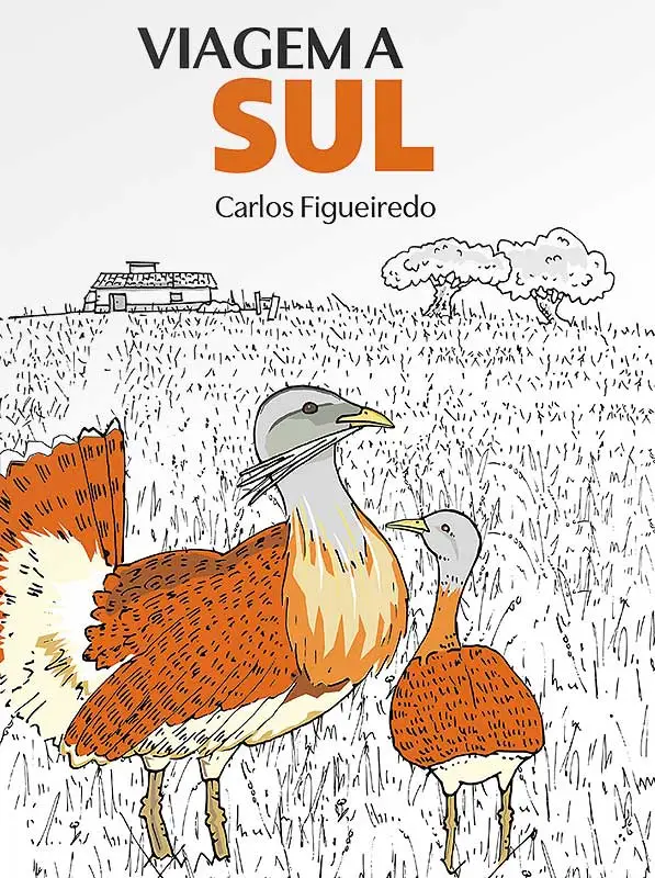 Viagem a Sul - Carlos Figueiredo