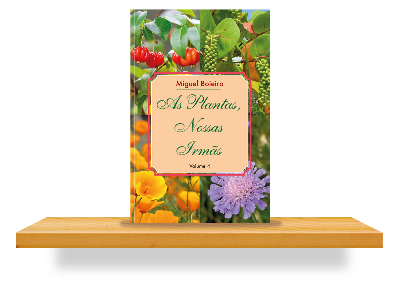 As plantas nossas irmãs
